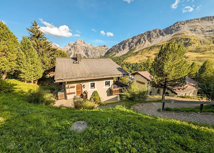 Steinbock By Ароза