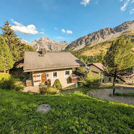 Steinbock By 阿罗萨